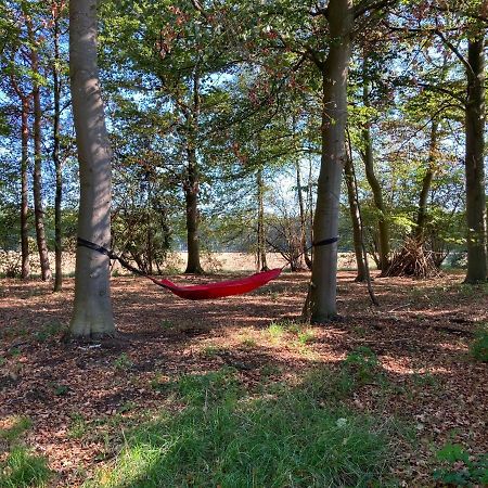 Zum Heuerling Ferienwohung Im Alten Stall Mit Sauna Versmold Eksteriør bilde