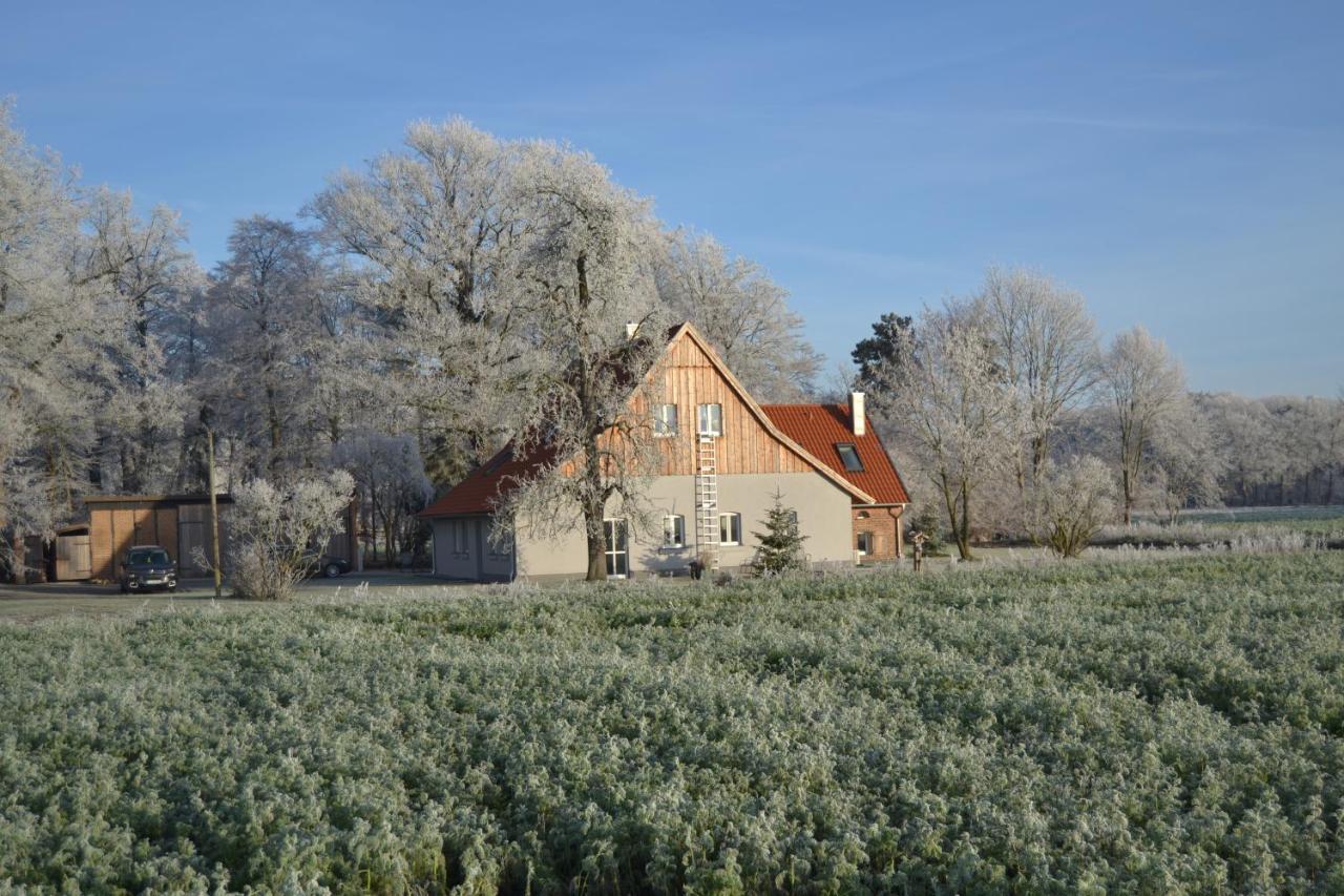 Zum Heuerling Ferienwohung Im Alten Stall Mit Sauna Versmold Eksteriør bilde