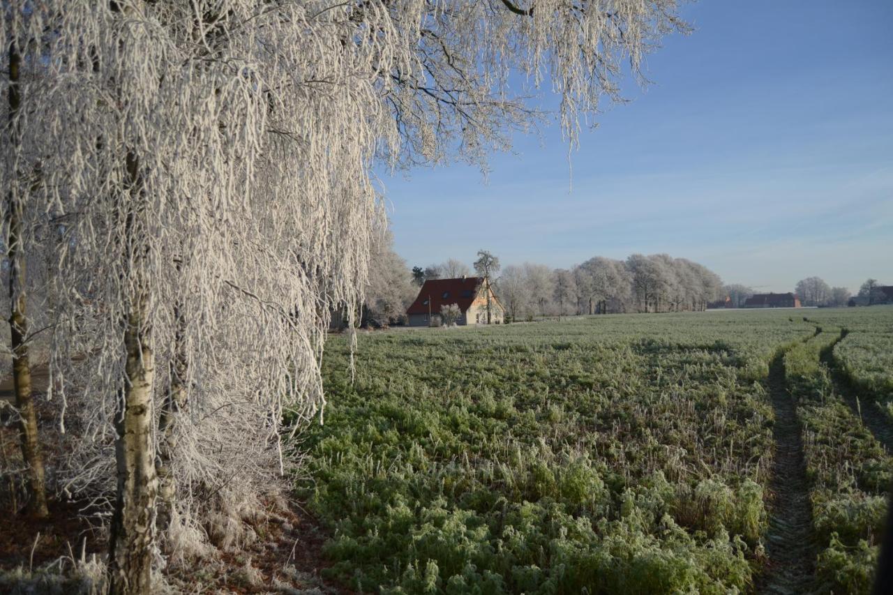 Zum Heuerling Ferienwohung Im Alten Stall Mit Sauna Versmold Eksteriør bilde
